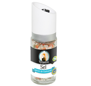 Sel séché de Guérande